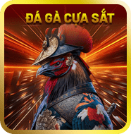Sảnh đá gà cựa sắt