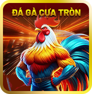 Sảnh đá gà cựa tròn