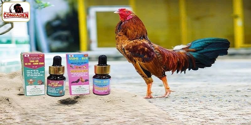 Cách phòng bệnh đúng cách
