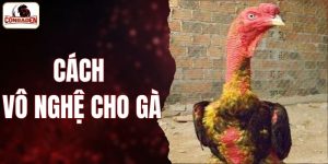 Cách vô nghệ cho gà