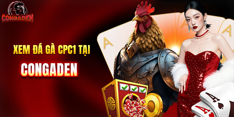 Xem đá gà cpc1 tại congaden