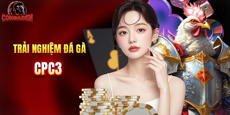 Trải nghiệm không gian đá gà CPC3