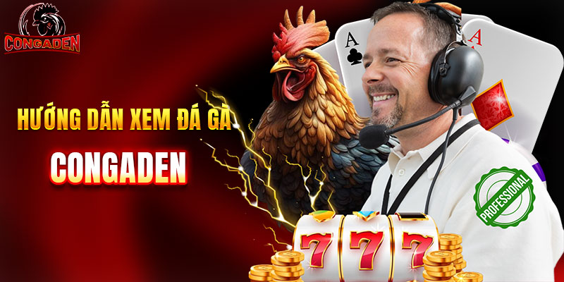 Hướng dẫn xem đá gà congaden