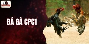 Đá Gà CPC1