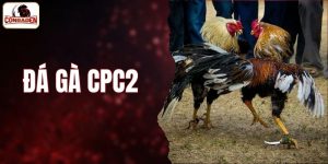 Đá Gà CPC2