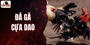 Đá Gà Cựa Dao