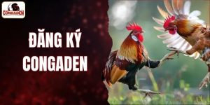 Đăng ký congaden