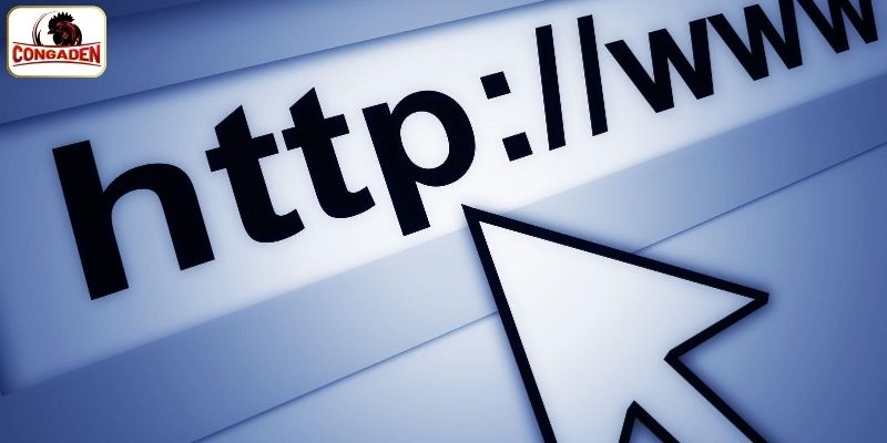 Đăng nhập CONGADEN để sử dụng dịch vụ tại website