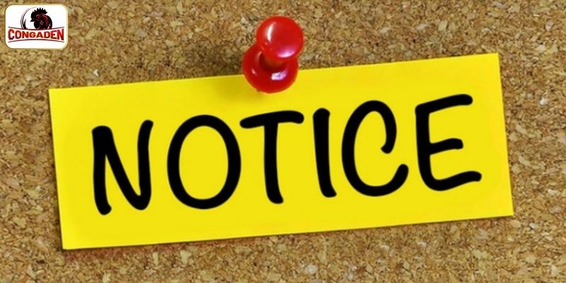 Lưu ý cho người chơi trong quá trình thao tác
