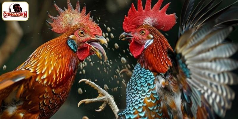 Một số lưu ý để nhận thưởng thành công